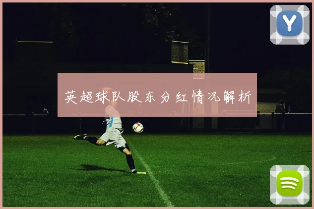 英超球队股东分红情况解析