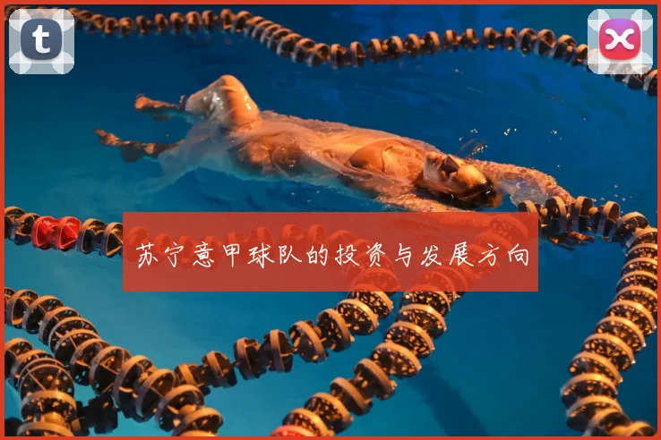 苏宁意甲球队的投资与发展方向