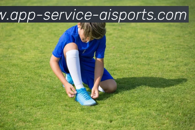 爱体育APP平台生态图